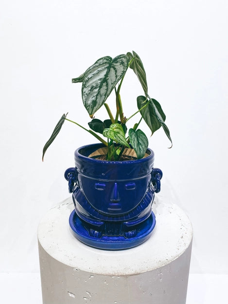 Vase Muisca Émaillé Bleu Fait Main - Grand
