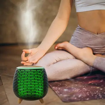 
                  
                    Diffuseur d'Huiles Essentielles - Ultrasonique Tony
                  
                