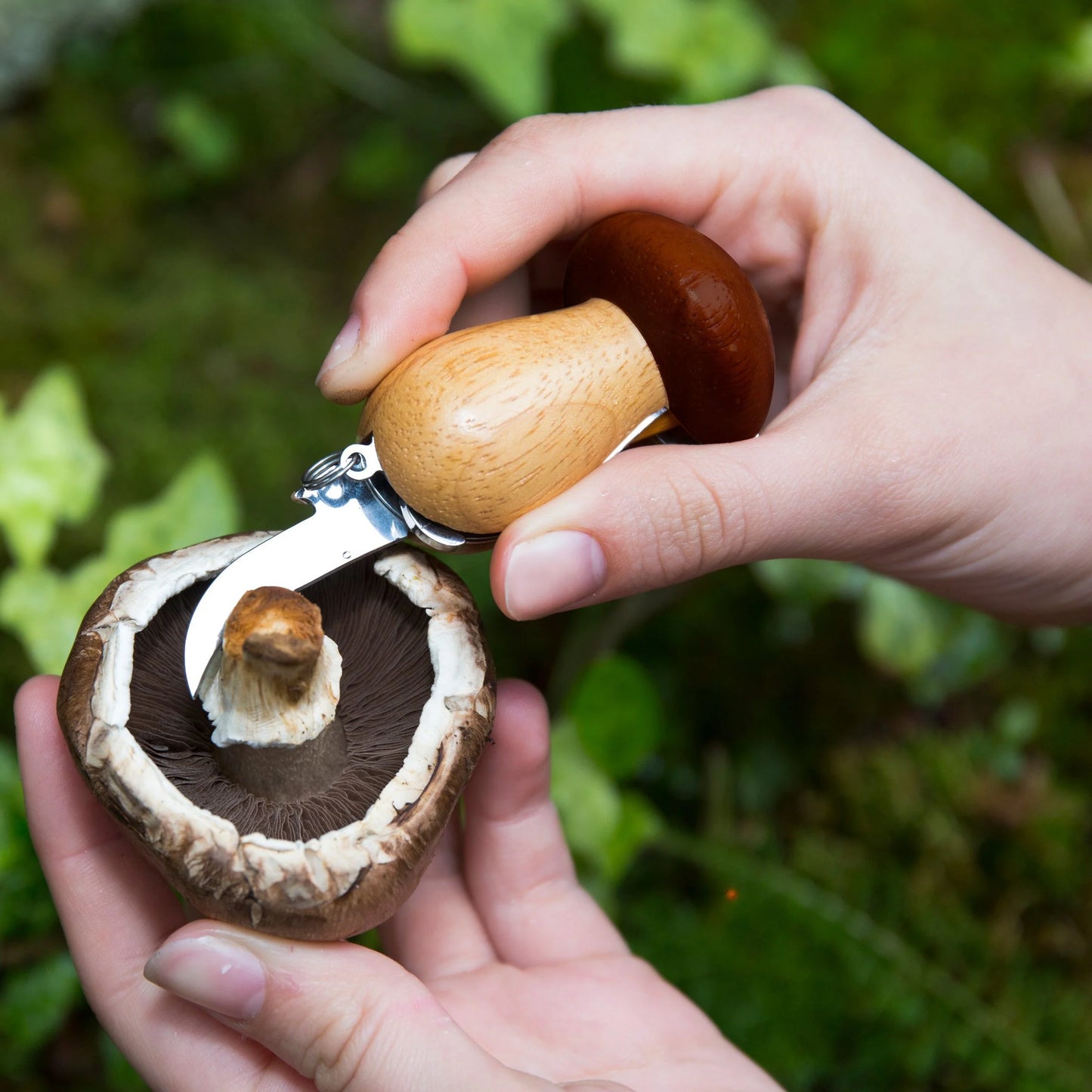 Porte Clés - Champignon
