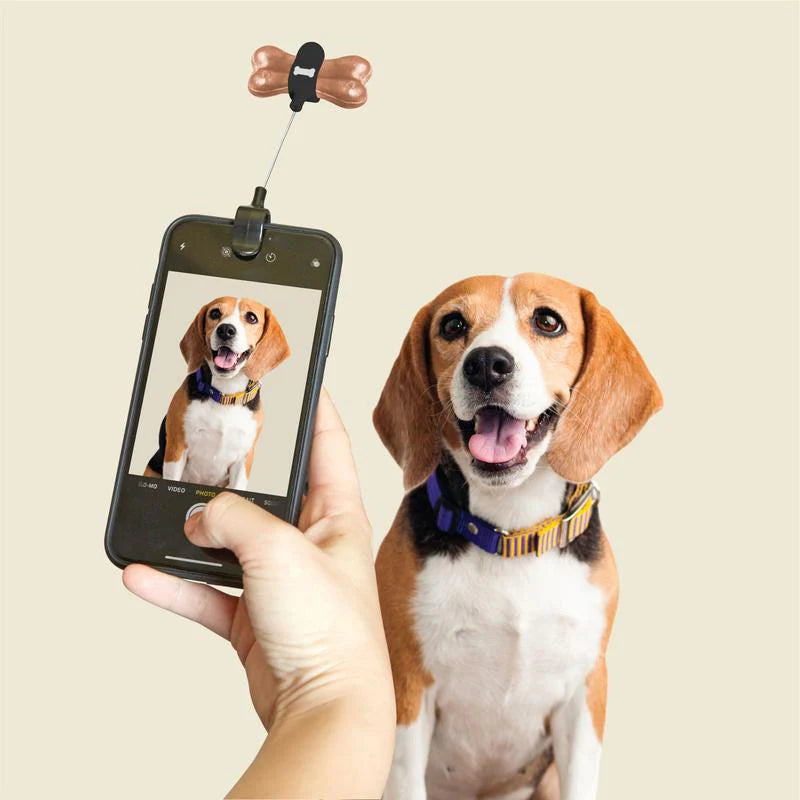 Clip de Téléphone pour Chien