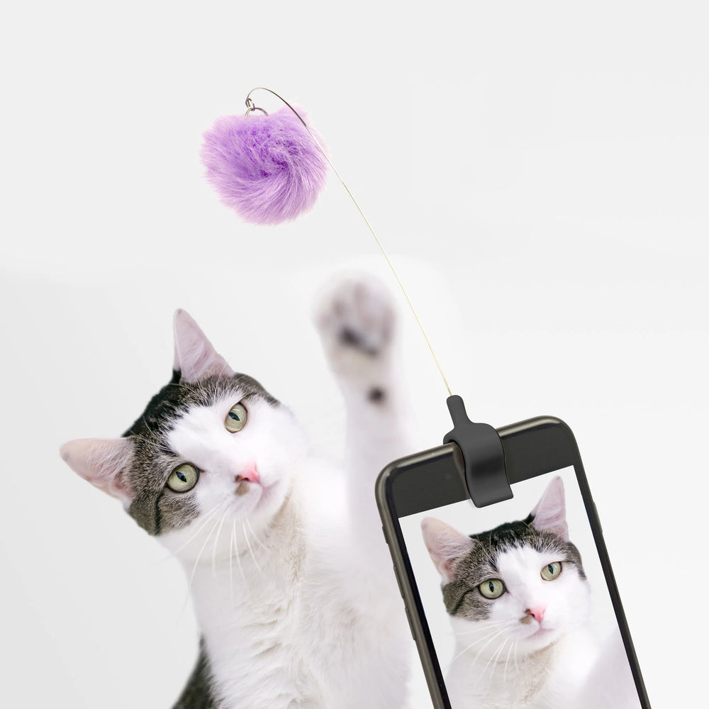 Clip de Téléphone pour Chats