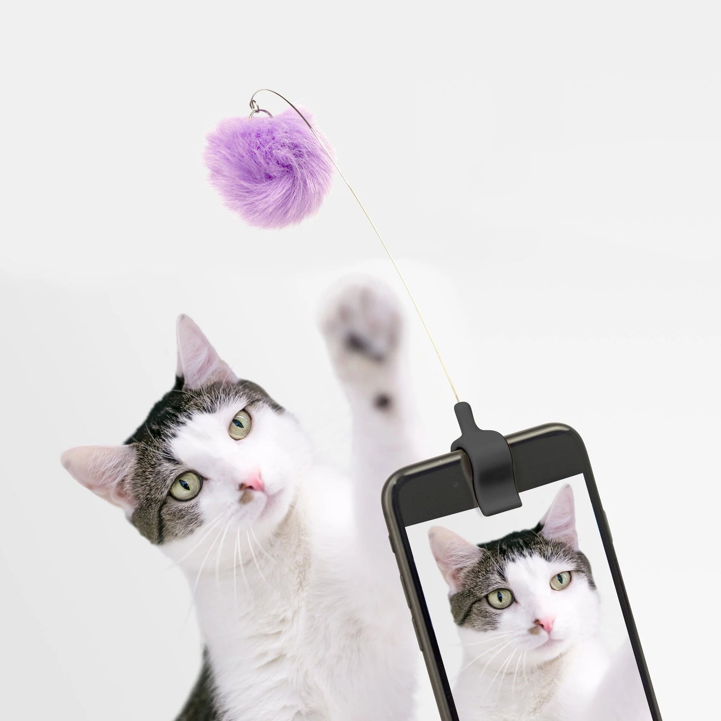 Clip de Téléphone pour Chats